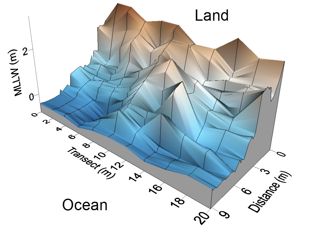 Hat Island West Topo Map Section 1