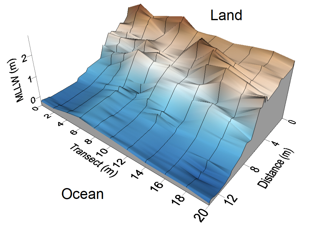 Saddlebag South East Topo Map Section 1