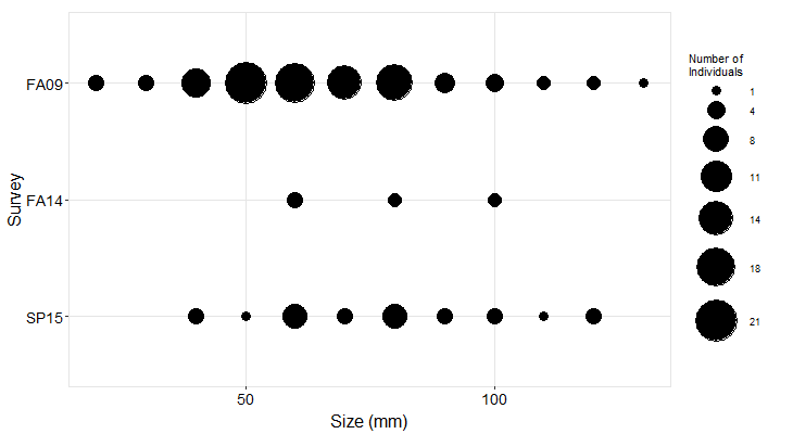 sea star size frequency plot