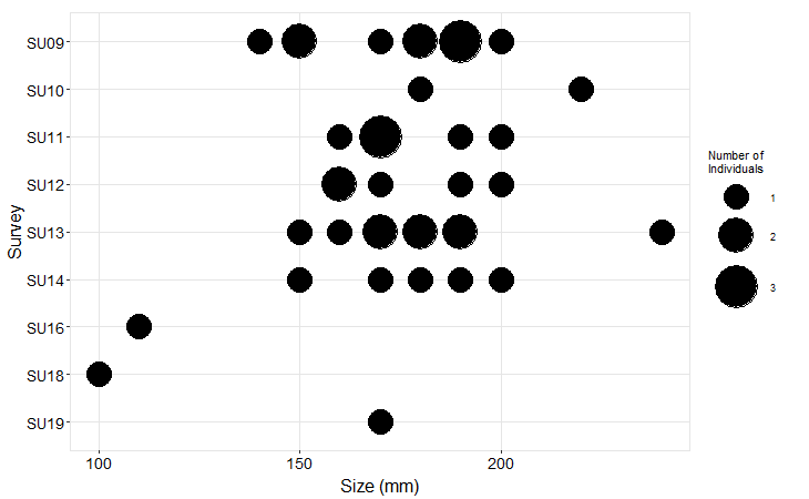 American Camp Pisaster size plot