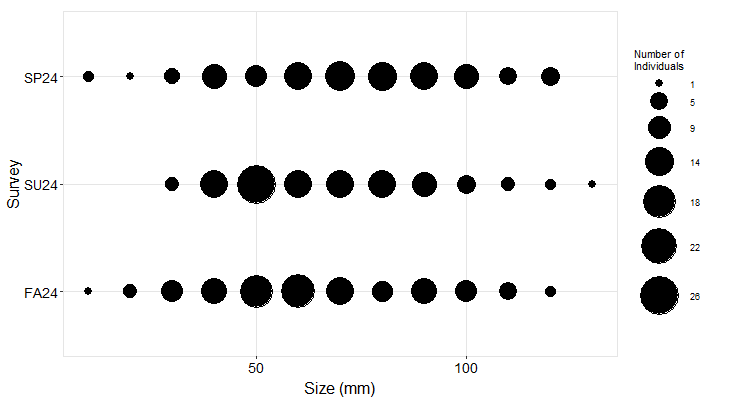 sea star size frequency plot