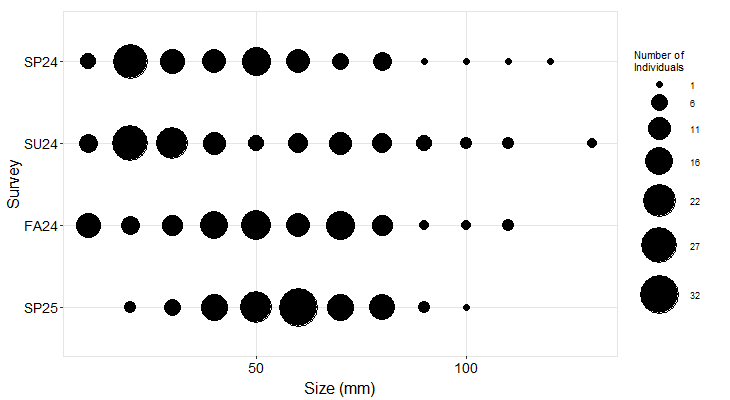 sea star size frequency plot