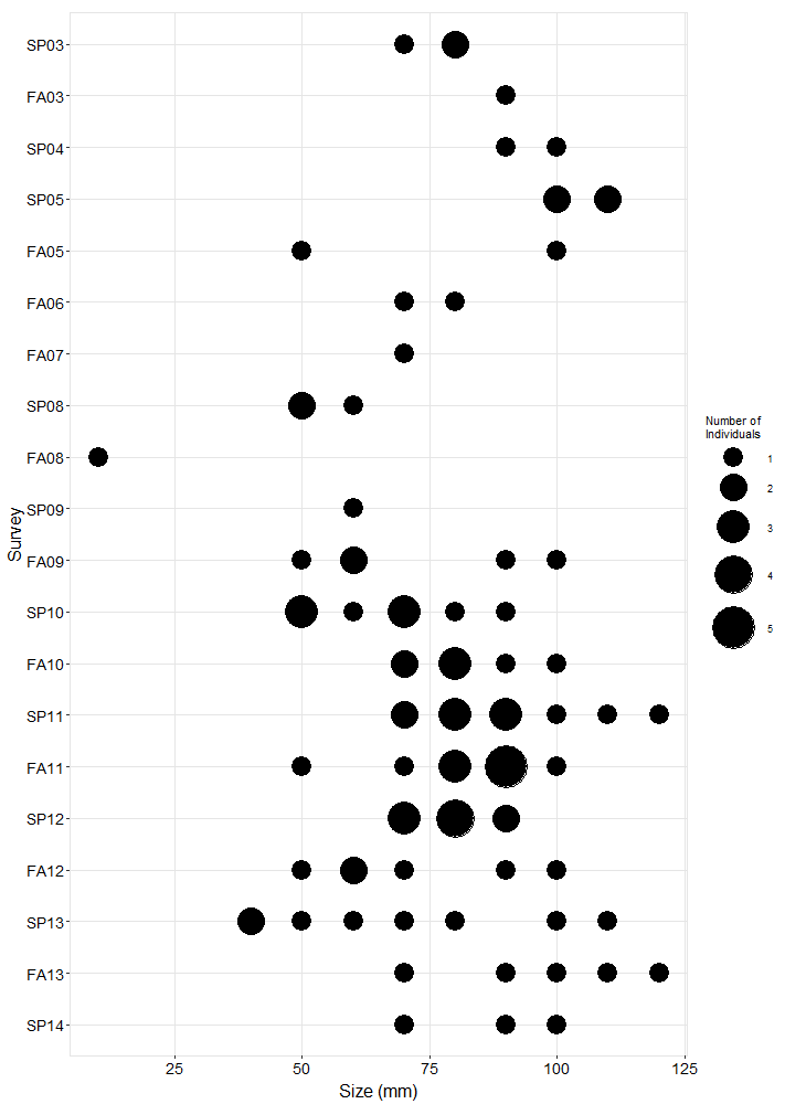 Little Harbor Pisaster size plot