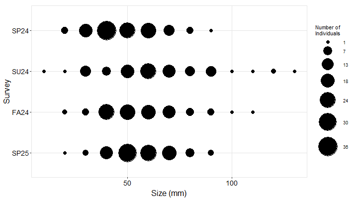 sea star size frequency plot