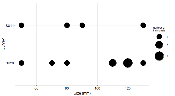 Saunders Reef Pisaster size plot