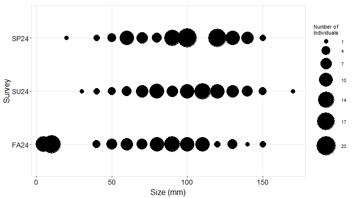 sea star size frequency plot