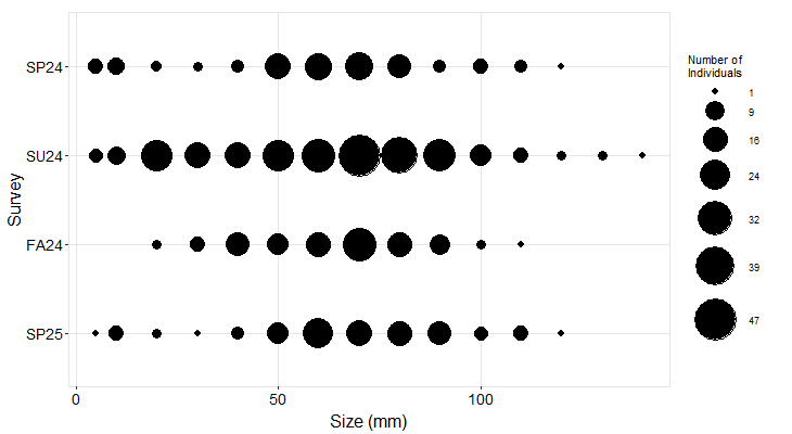 sea star size frequency plot